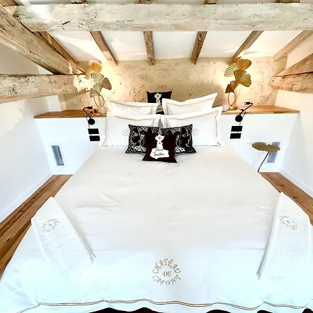 Chateau De Lafont 4* Saint-Vivien (Dordogne)