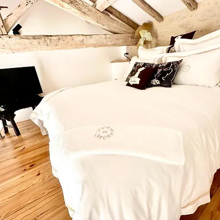 Chateau De Lafont Penzion 4*