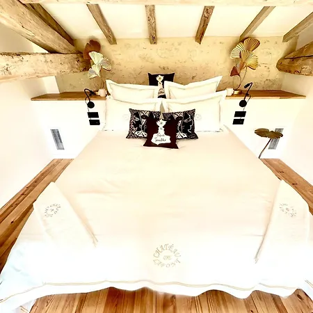 Chateau De Lafont Saint-Vivien (Dordogne)