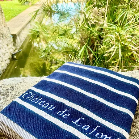 게스트하우스 Chateau De Lafont 4*