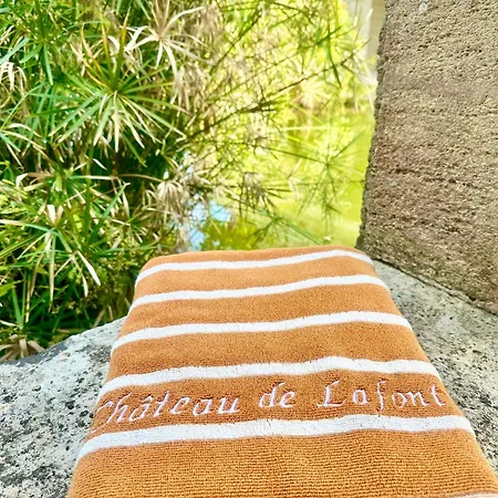 Chateau De Lafont *